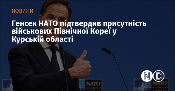 Генеральний секретар НАТО підтвердив, що військові з Північної Кореї перебувають у Курській області.