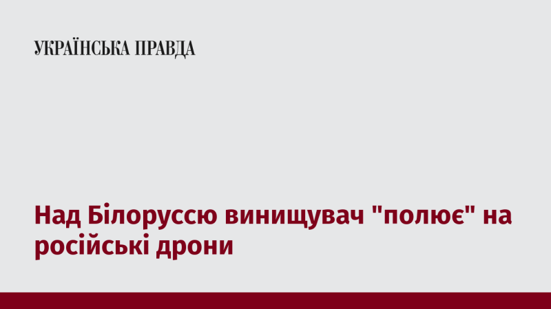 Над територією Білорусі винищувач 