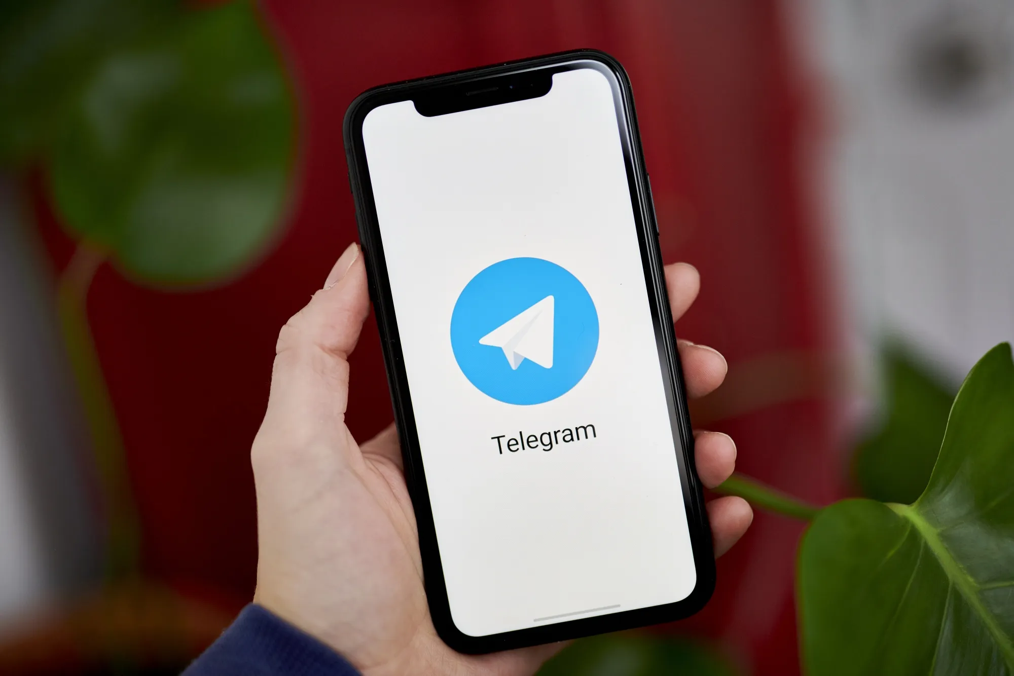 Вийшло важливе оновлення Telegram, яке перетворює цей месенджер на платформу для відео — Finance.ua.